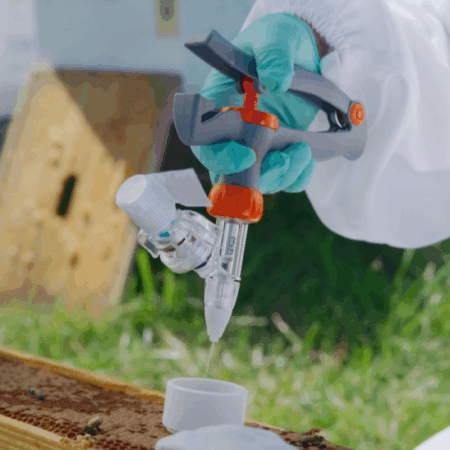 UBeeO™ Testing Service